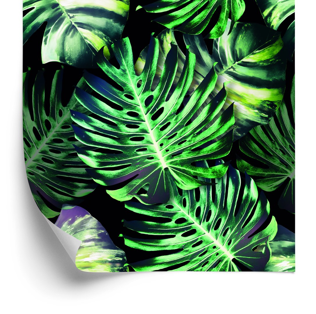 Tapeta Tropikalne Liście Monstery