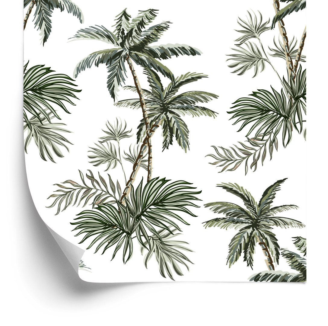 Tapeta Palmy Drzewa Rośliny Pokój Młodzieżowy