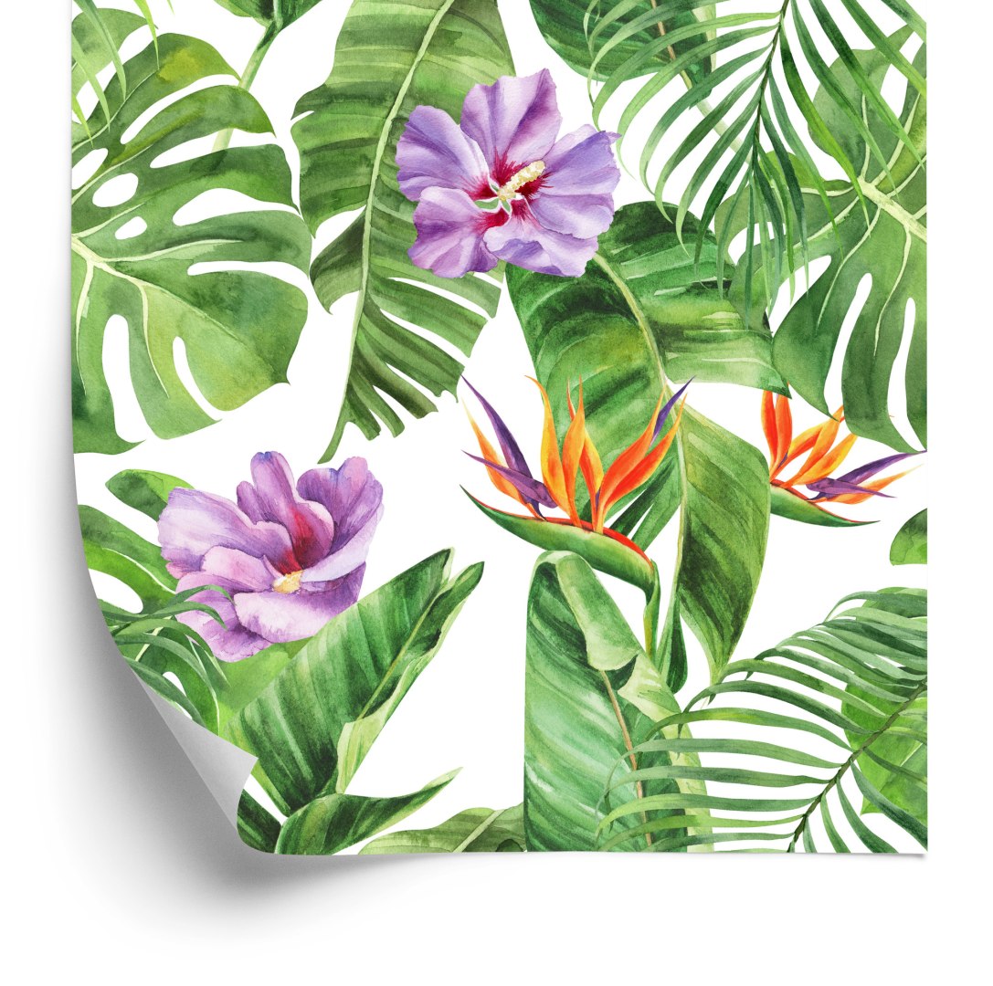 Tapeta Piękne Kwiaty Egzotyczne