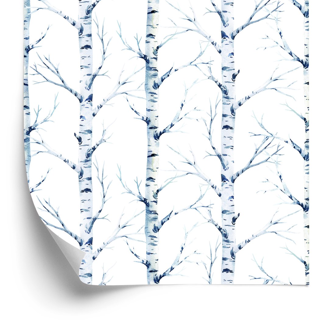 Tapeta Piękne Brzozy