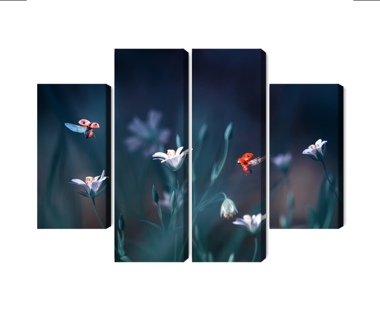 Obraz Wieloczęściowy Biedronki I Polne Kwiaty W Skali Makro