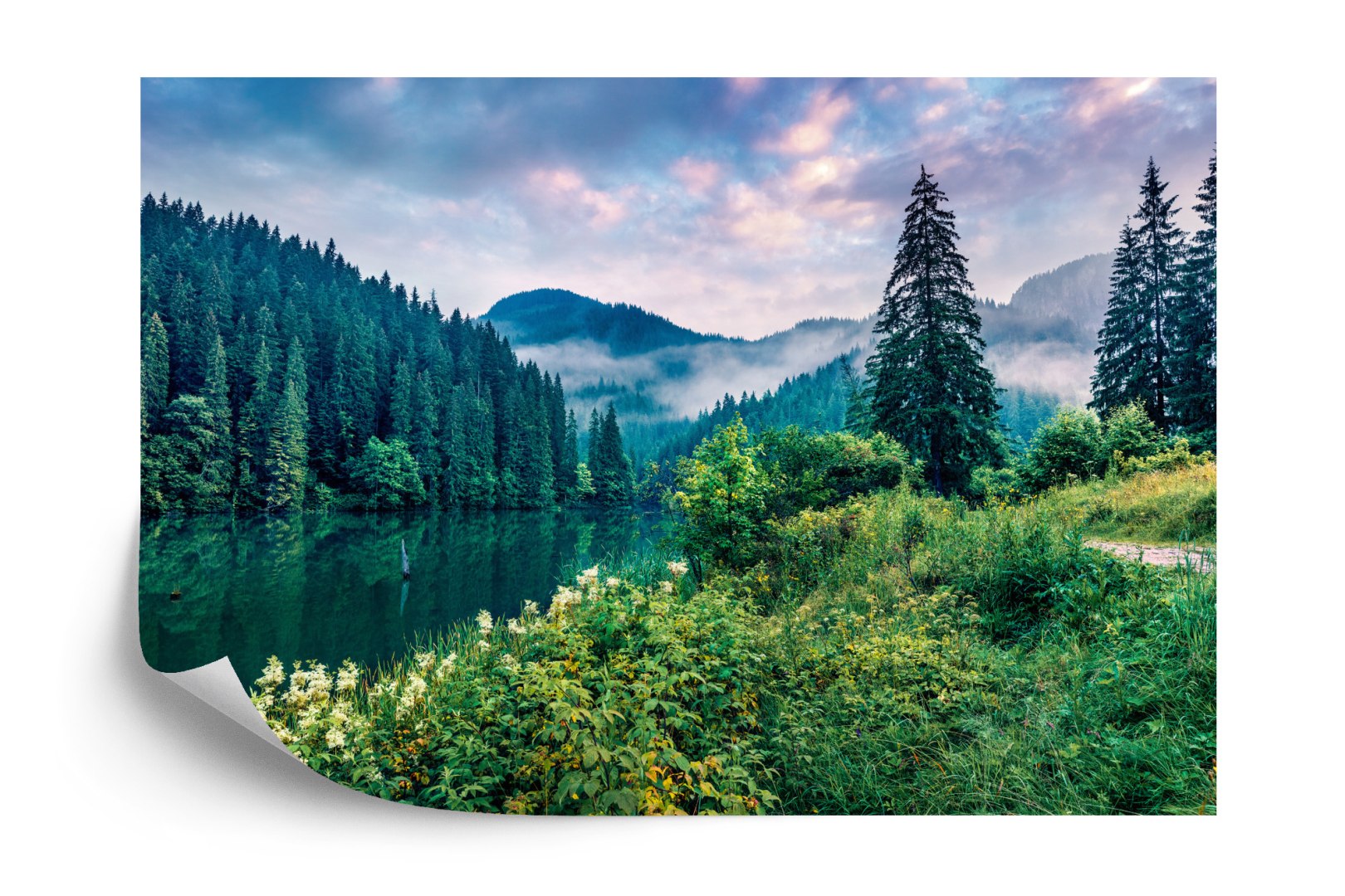 Fototapeta Dramatic Morning Scene Of Lacu Rosu Lake. Misty Summer Sunrise In Harghita County, Romania, Europe. Beauty Of Nature