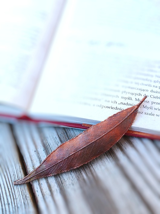 Liść wierzby III wisior miedziany