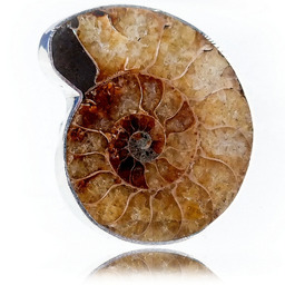 Amonit Oryginalny Pierścionek Srebro R 10-26 Unikat