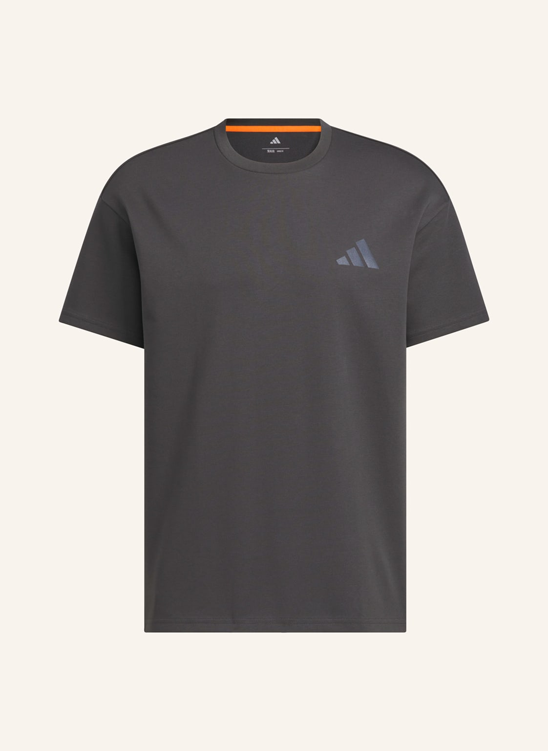 Adidas Terrex Koszulka Graphic grau
