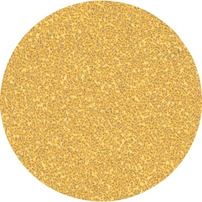 Bosch Papier ścierny Expert C470 2608901086 (50 szt.)