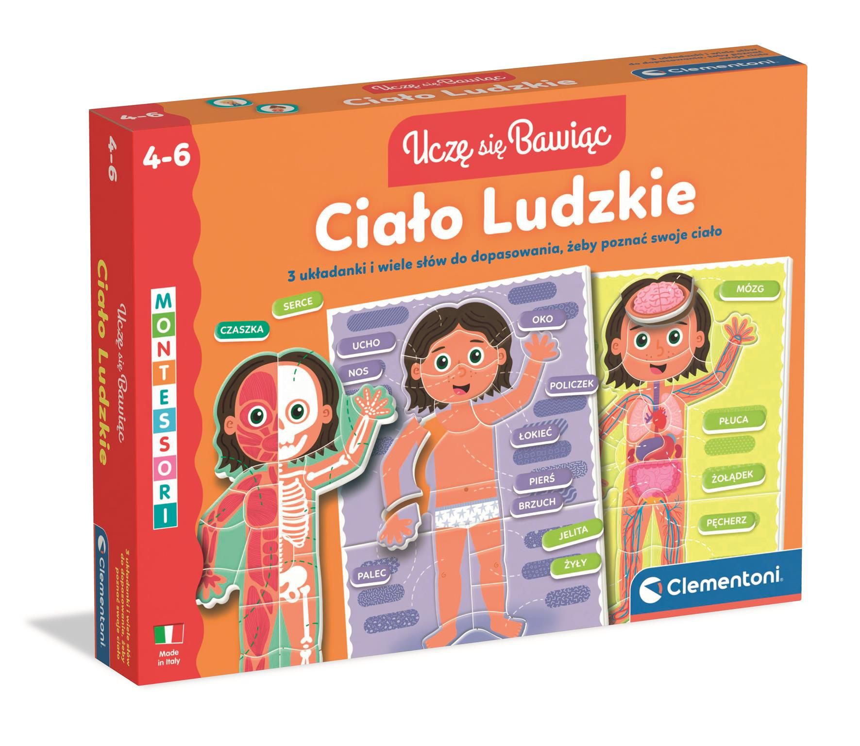 Ciało ludzkie 50432 - zabawka