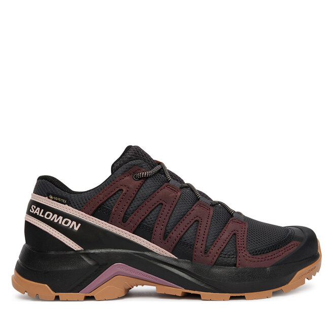 Trekkingi Salomon X-Adventure Recon Gtx L49096600 Brązowy