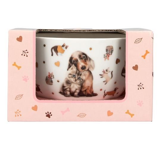 Miseczka w ozdobnym pudełku Top Model Fur Ever Friends 13867a