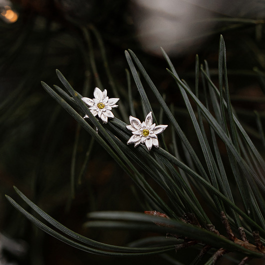 Szarotki - srebrne kolczyki na sztyftach