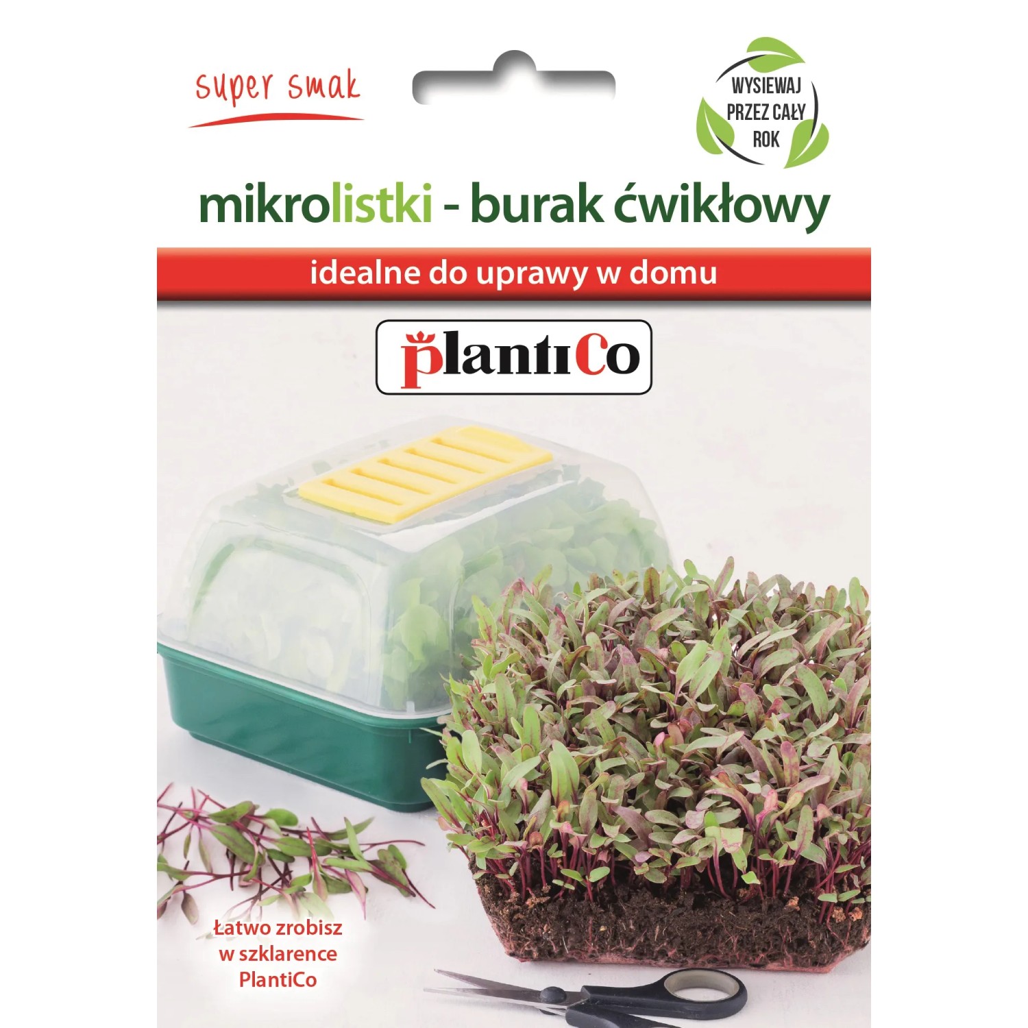 Nasiona na Mikrolistki Burak 10g