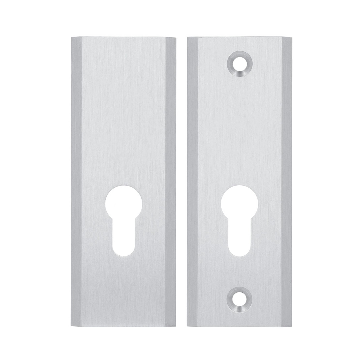 Szyld do klamki Haga/Niagara srebro