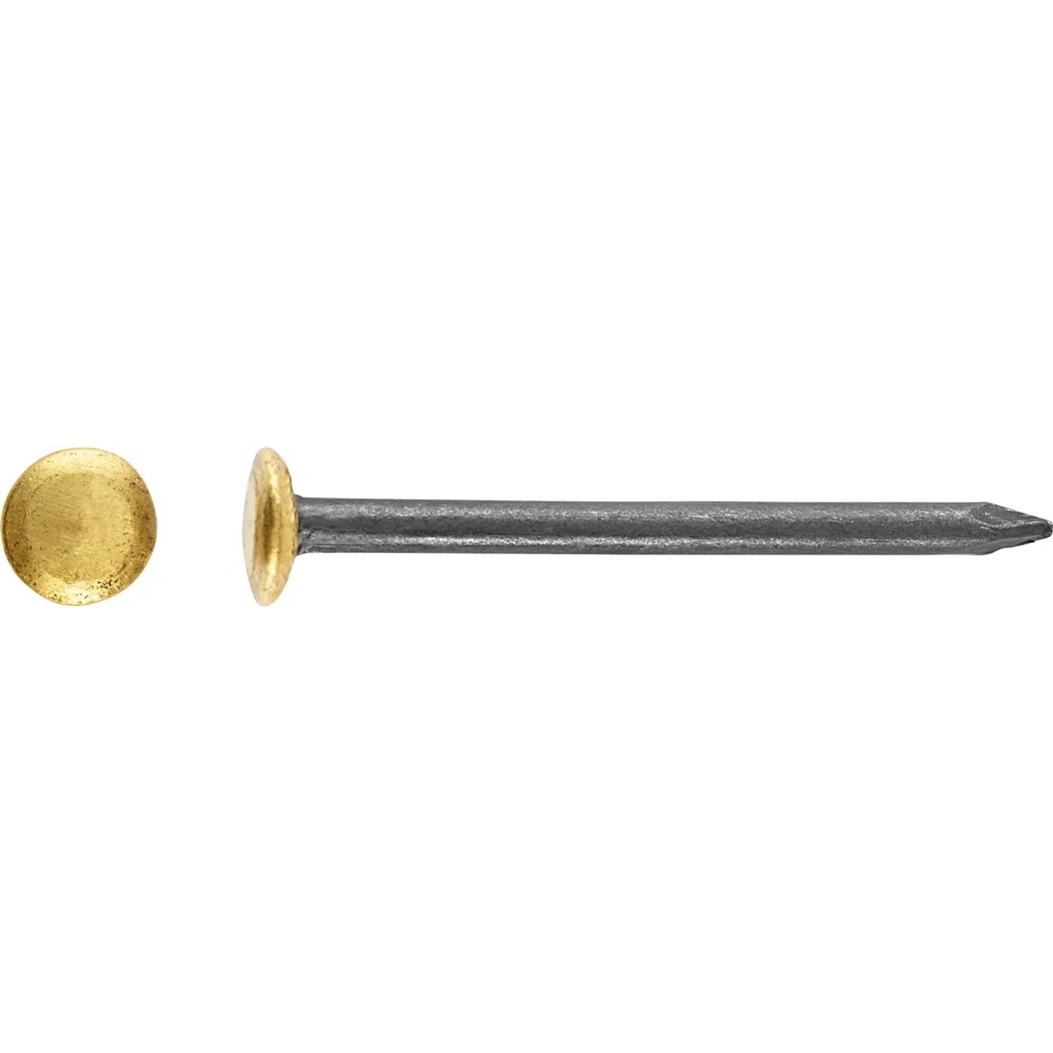 LUX Gwóźdź stalowy z podniesioną główką pokrytą mosiądzem Ø 2 mm x 20 mm mosiądz