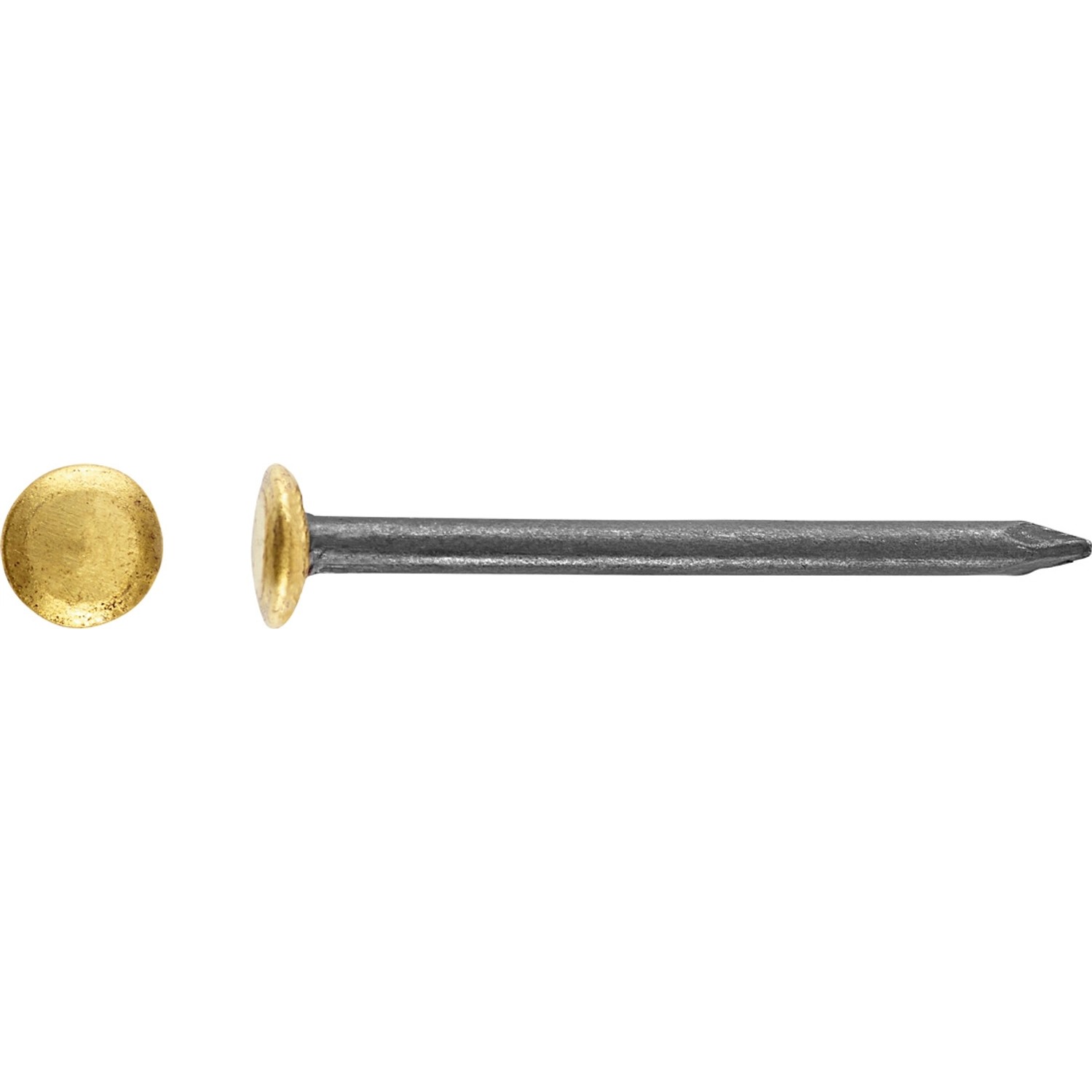 LUX Gwóźdź stalowy z podniesioną główką pokrytą mosiądzem 2 mm x 30 mm mosiądz