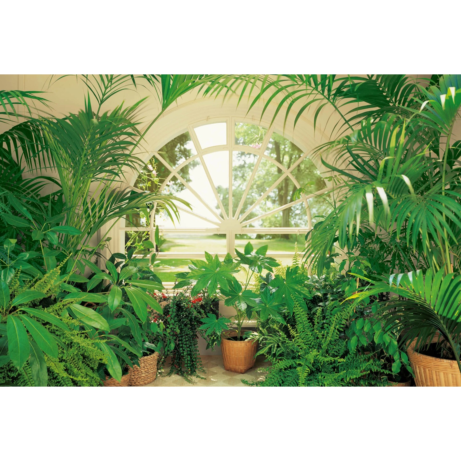Fototapeta Wintegarden 384 x 260 cm