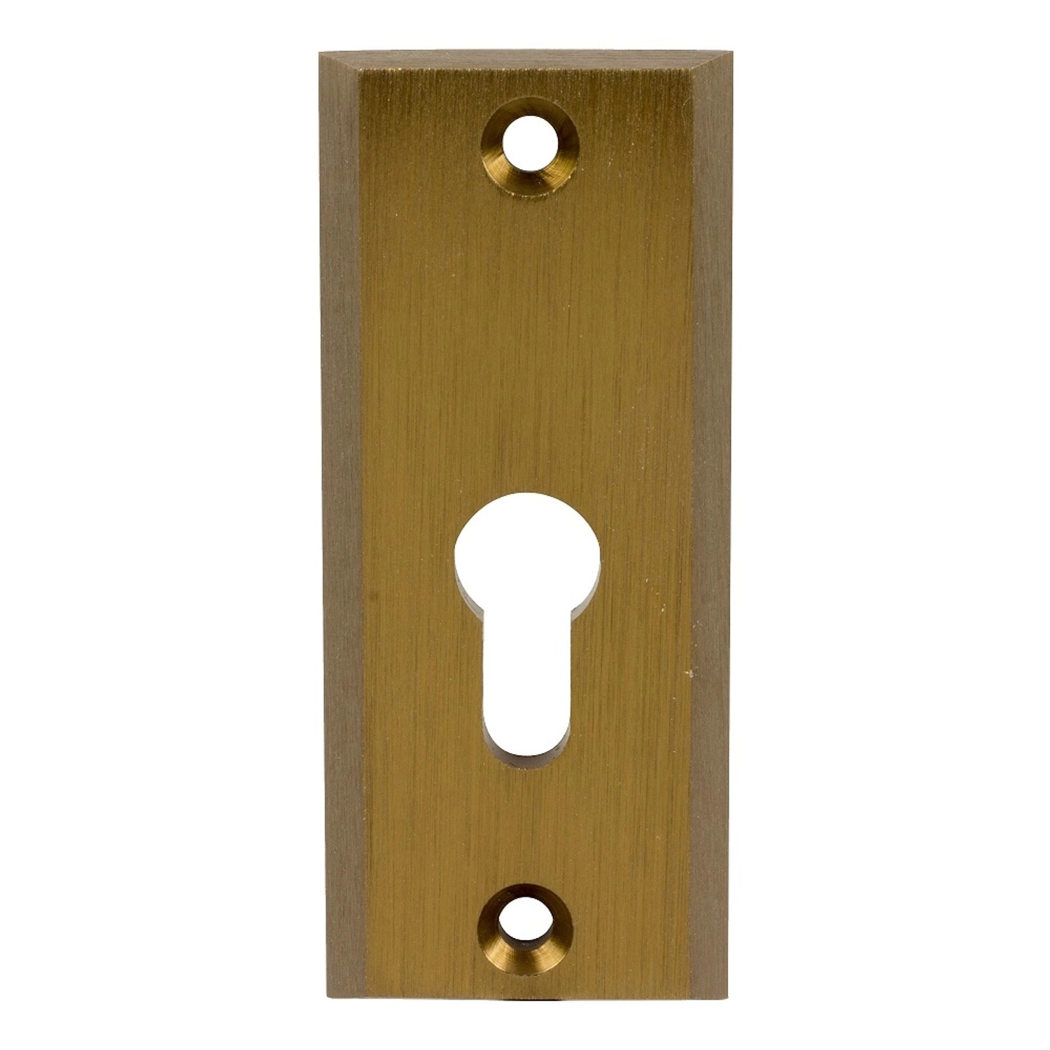 Domino Szyld Shark na wkładkę