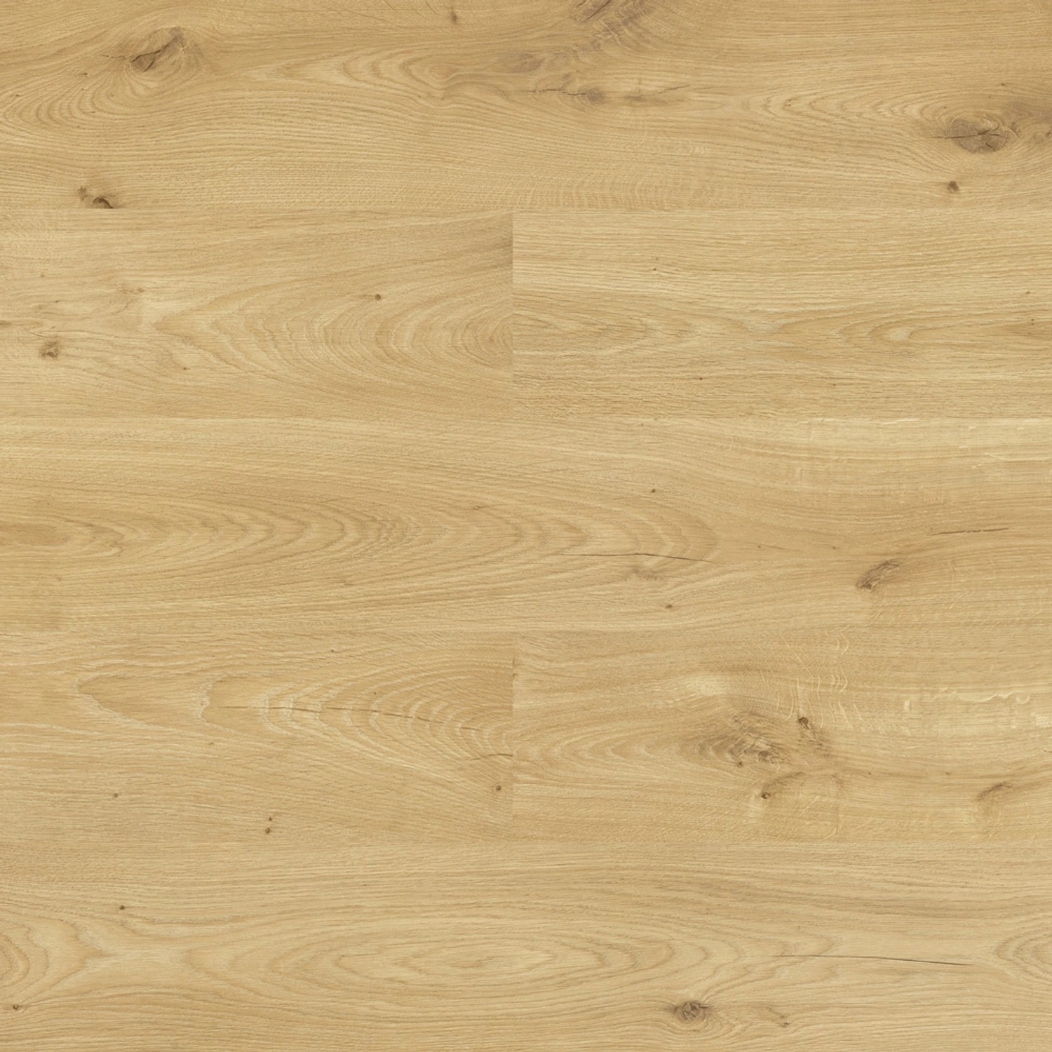 Swiss Krono Panel podłogowy Dąb Calvinia 7 mm AC4