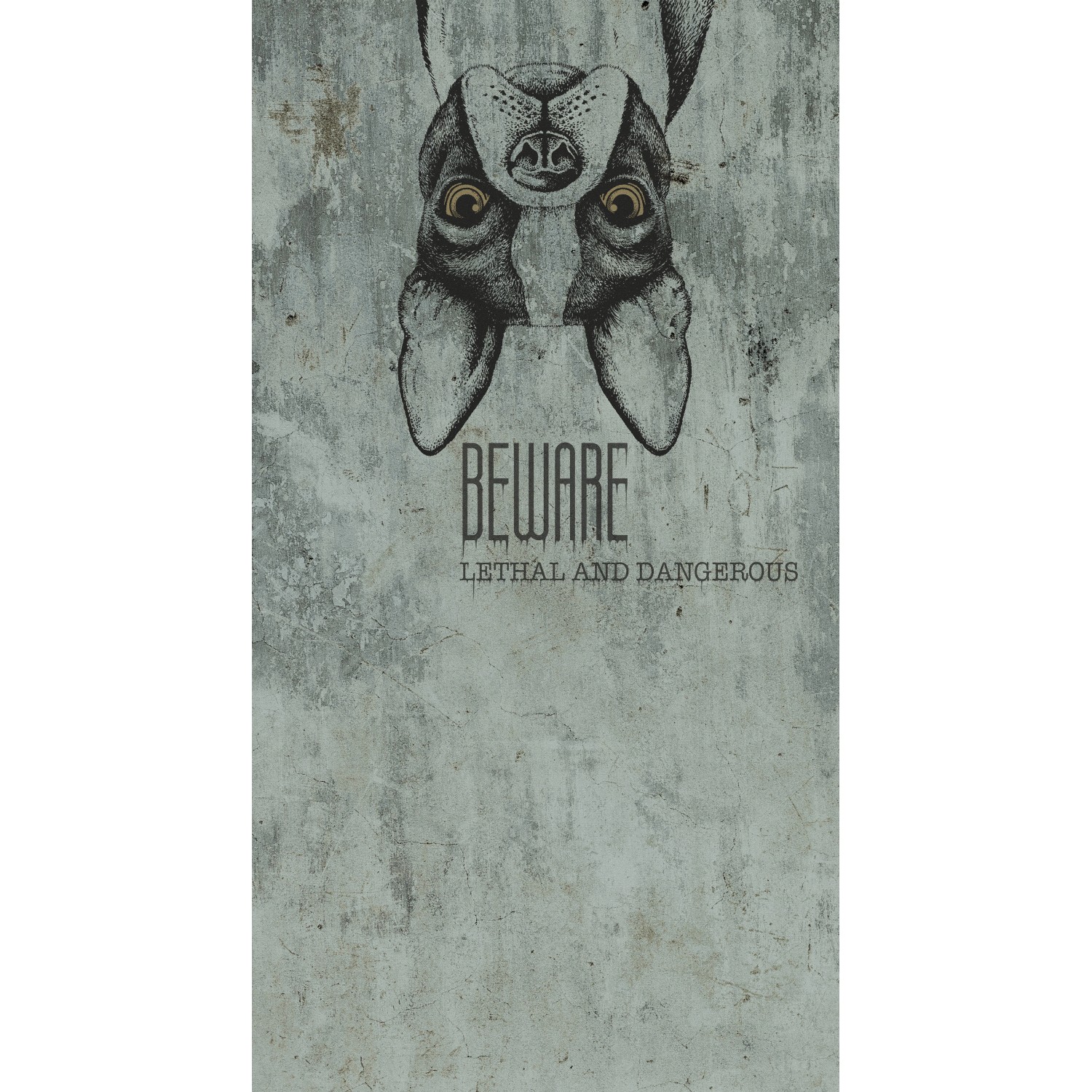 Tapeta panoramiczna MURAL napis Beware 150 x 280 cm zielona