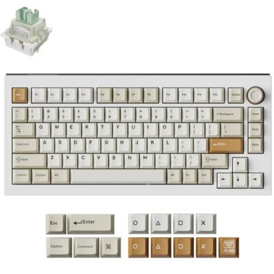 KEYCHRON Lemokey L5 HE Magnetic Switch Custom Gaming Down Master L5W-P1