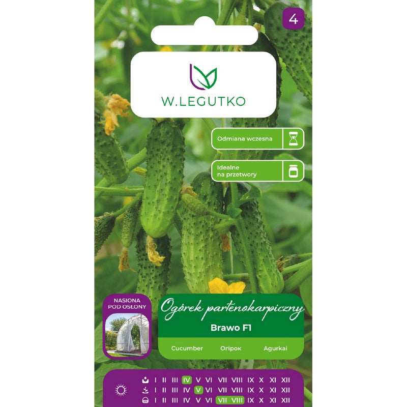 Ogórek szklarniowy partenokarpiczny Brawo F1 nasiona W.Legutko