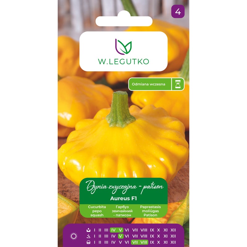Dynia zwyczajna patison Aureus F1 nasiona W.Legutko