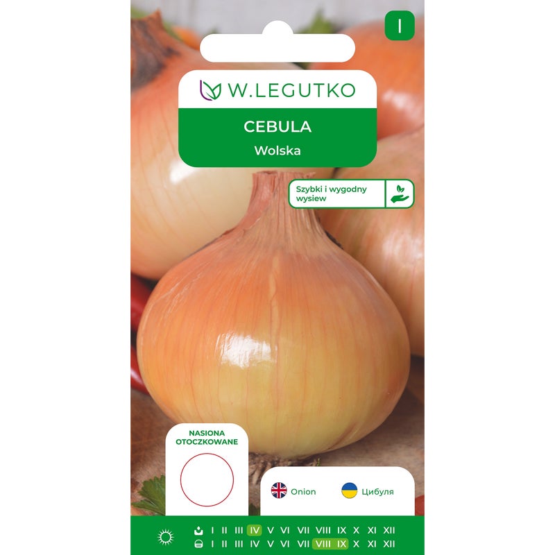 Cebula Wolska nasiona W.Legutko