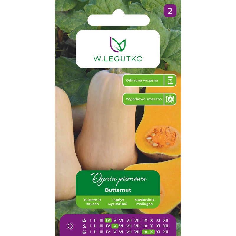Dynia piżmowa Butternut nasiona W.Legutko