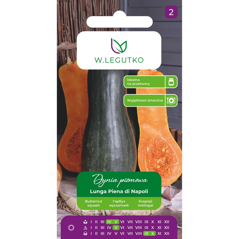 Dynia piżmowa Lunga Piena di Napoli nasiona W.Legutko