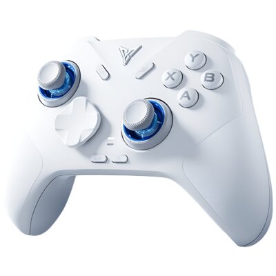 Kontroler FLYDIGI Direwolf 4 Biały