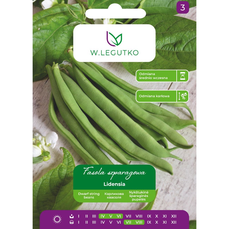 Fasola szparagowa Lidensia nasiona W.Legutko