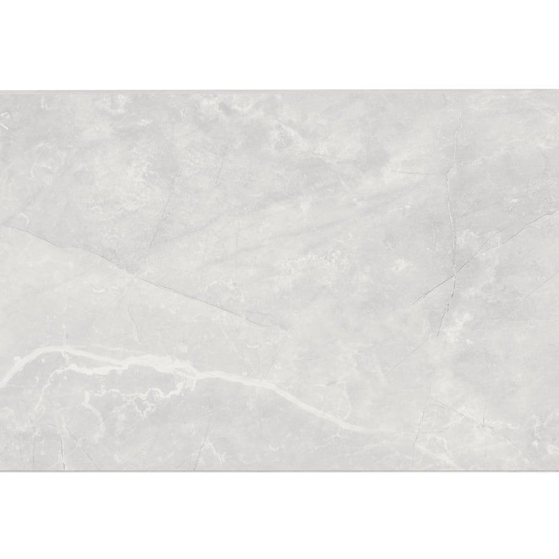 Panele ścienne winylowe SPC 120x60 cm szary połysk