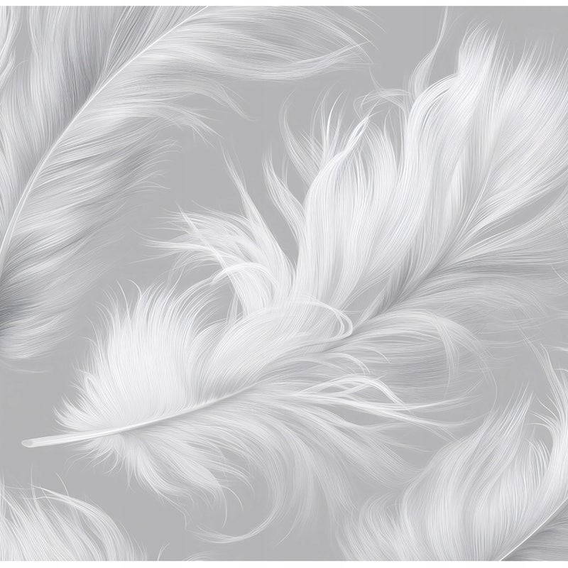 Fototapeta Pióra Abstrakcja Szary 300x210 cm Tapeta Do Sypialni Salonu Kuchni Na Flizelinie