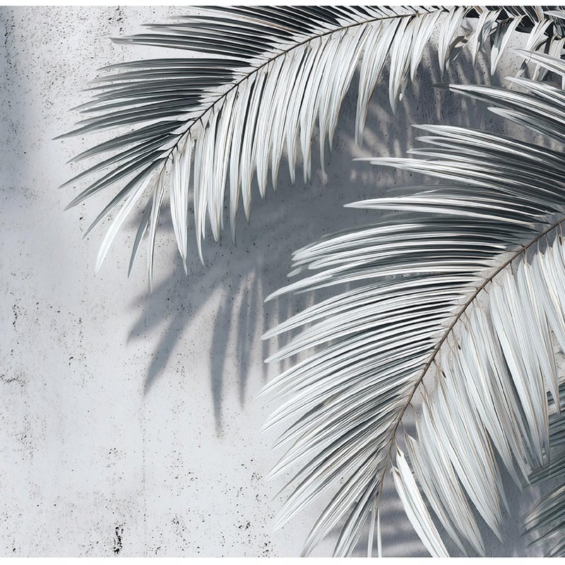 Fototapeta Liście Palmy Beton 250x175 cm Tapeta Do Sypialni Salonu Kuchni Na Flizelinie