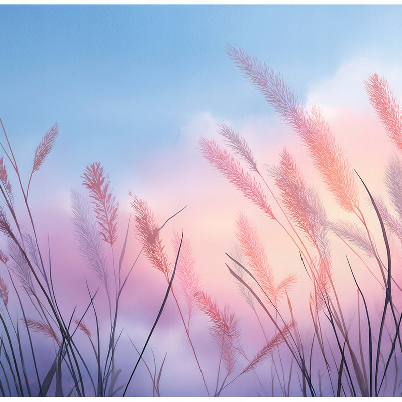 Fototapeta Trawa pampasowa Natura Krajobraz 250x175 cm Tapeta Do Sypialni Salonu Kuchni Na Flizelinie