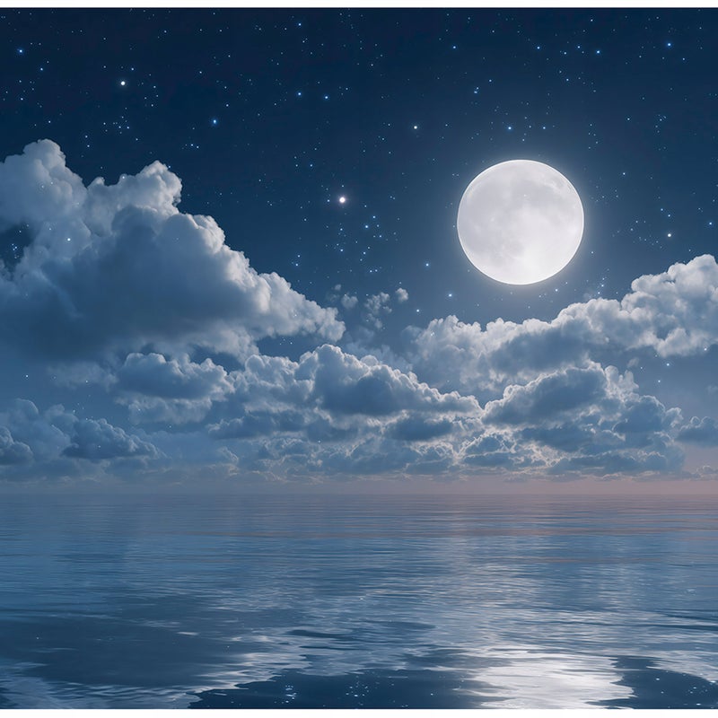 Fototapeta Morze Księżyc Natura 300x210 cm Tapeta Do Sypialni Salonu Kuchni Na Flizelinie