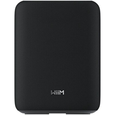 WIIM Głośnik multiroom Sound Lite Czarny