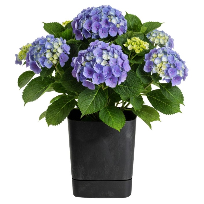 HowHomely Donica z podstawką CUBI recykling czarny beton 34x34 cm