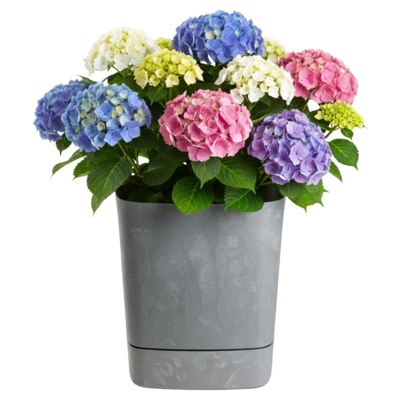 HowHomely Donica z podstawką CUBI recykling szary beton 34x34 cm