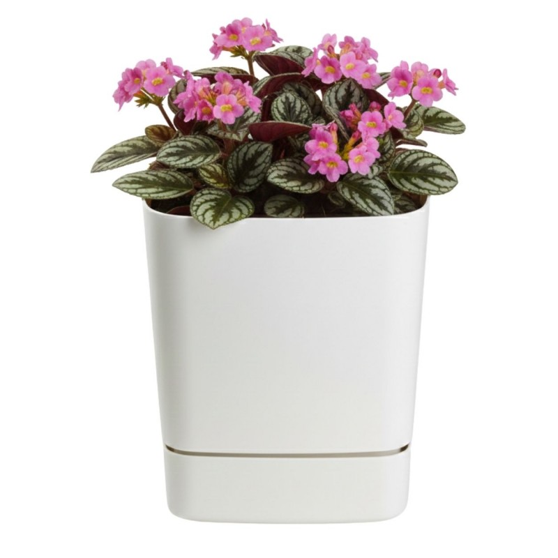 HowHomely Donica z podstawką CUBI recykling kremowa 16x16 cm