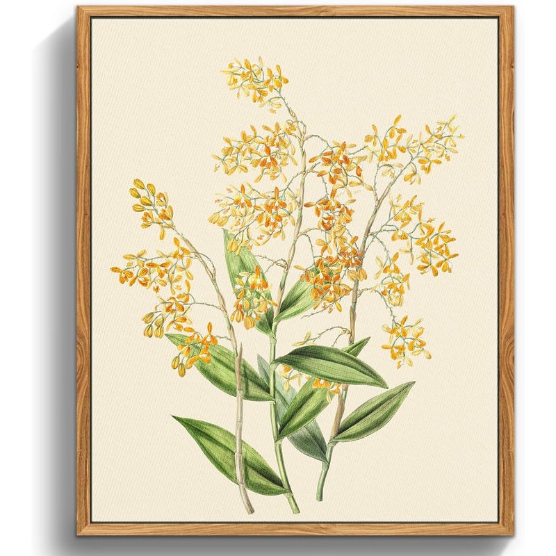 Botaniczny wydruk na płótnie w stylu vintage, 30x40 cm, obraz ścienny, żółta orchidea, dekoracja sypialni, biura, salonu, bez ramy