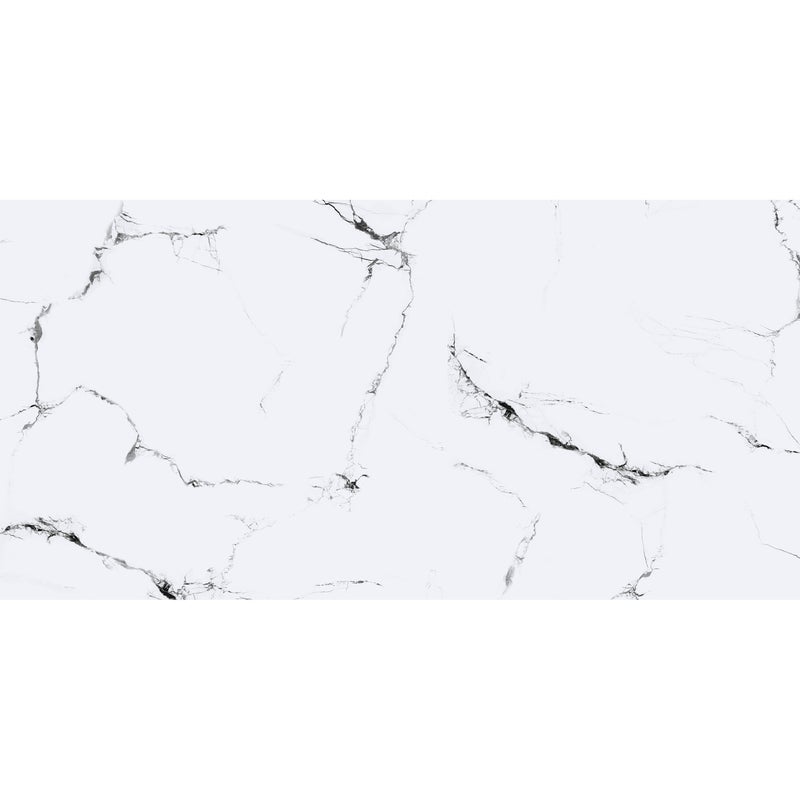 Panele ścienne winylowe 120x60 cm Artens White&Black biało czarny marmur