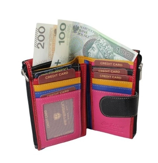 Portfel Damski Skórzany Peterson Skóra Licowa Średni Z Suwakami Na Zewnątrz I Zapinką PTN D24 15,5 x 10 x 3,5 [cm]