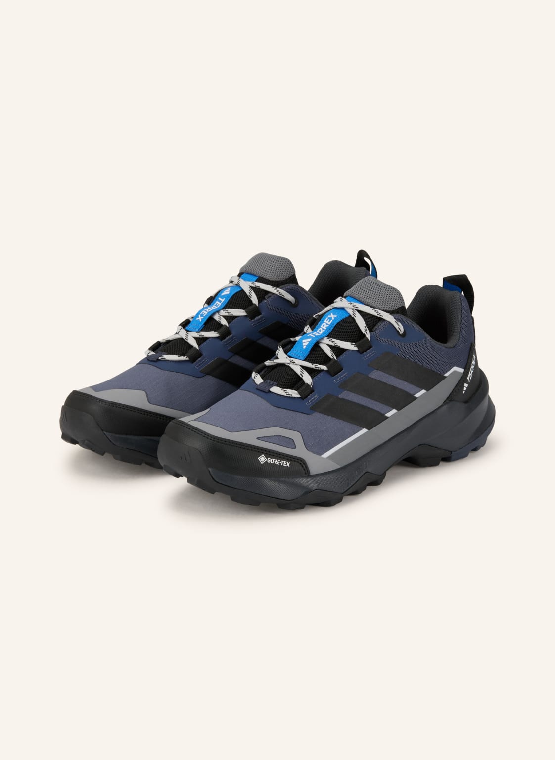 Adidas Terrex Buty Turystyczne Terrex Skychaser ax5 Gtx grau
