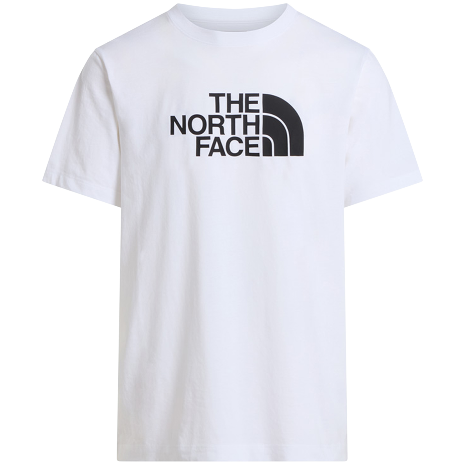 Koszulka męska The North Face Evolution Half Dome Regular Short Slee Rozmiar: XL / Kolor: biały