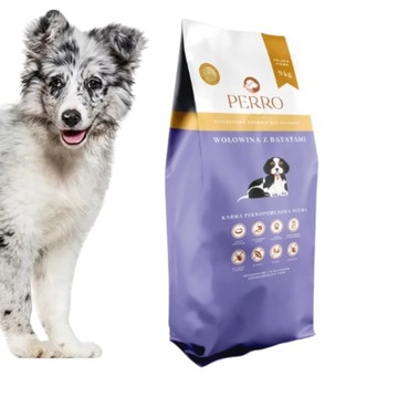 PERRO Karma sucha Junior Wołowina z batatami 9KG