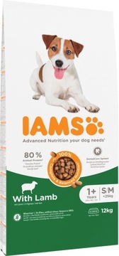 IAMS Adult Small&Medium Lamb 12 kg
