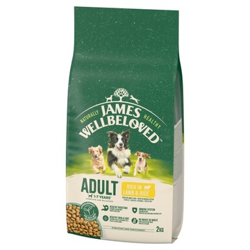 JAMES WELLBELOVED Adult 2 kg sucha karma pełnoporcjowa dla dorosłych psów 1-7 lat bogata w jagnięcinę i ryż -