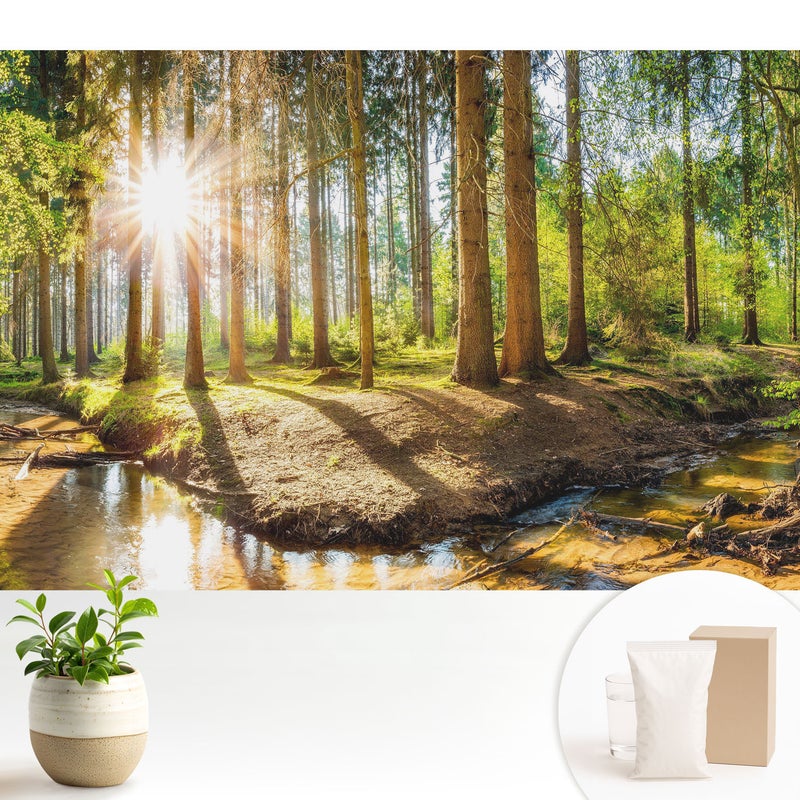 Tapeta flizelinowa stylowa dekoracyjna elegancka nowoczesny motyw trwała i praktyczna - Promienne słońce w leśnym krajobrazie - 104x70