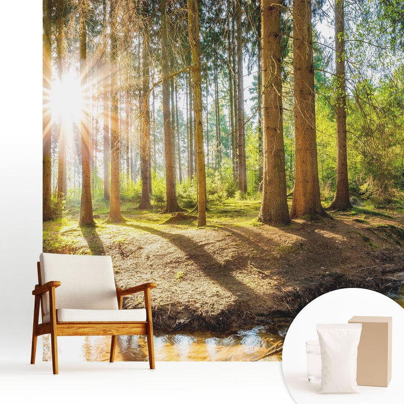 Tapeta flizelinowa stylowa dekoracyjna elegancka nowoczesny motyw trwała i praktyczna - Promienne słońce w leśnym krajobrazie - 250x250