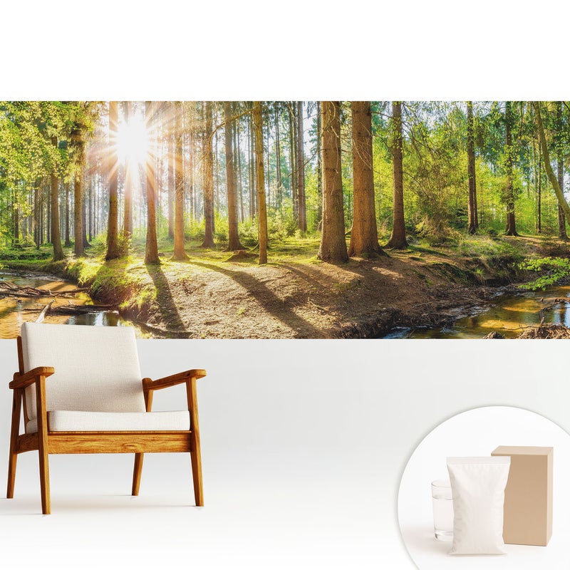 Tapeta flizelinowa stylowa dekoracyjna elegancka nowoczesny motyw trwała i praktyczna - Promienne słońce w leśnym krajobrazie - 250x104